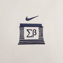 Nike Sb Veikos Gfx