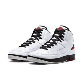 Air Jordan 2 Retro 