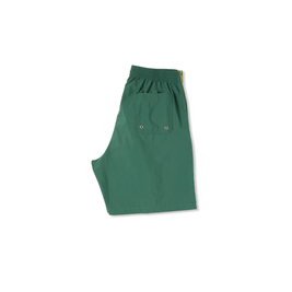 szorty Polar Square Stripe City Swim Shorts (Green)