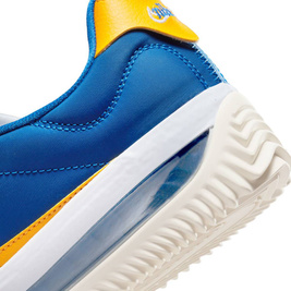 Buty Nike BRSB