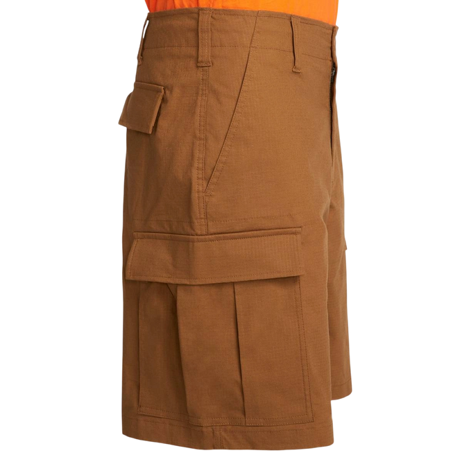Nike Sb Cargo Short 