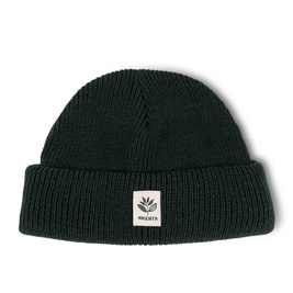 magenta fam beanie green