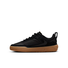 shoes Nike sb Day One (GS)