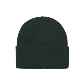 Carhartt WIP American Script Beanie (Dark Fir)
