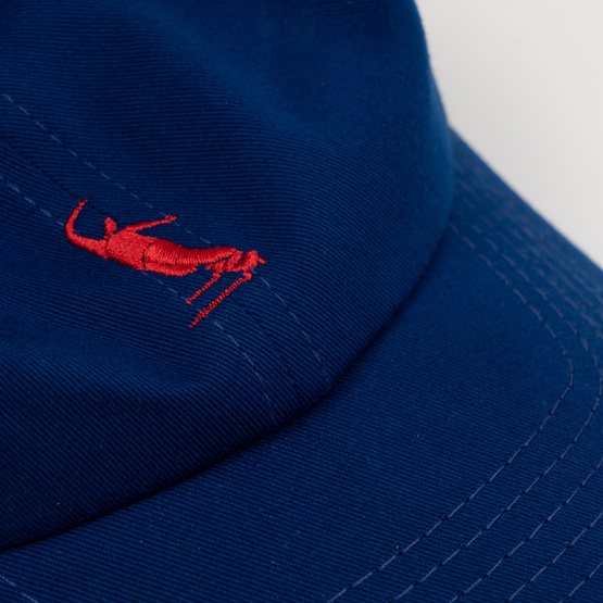 Magenta Pws Dad Hat - Deep Blue