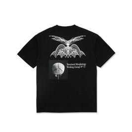 Polar Morphology Tee (Black)