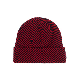 Fucking Awesome - Hurt Your Eyes Beanie (Red)