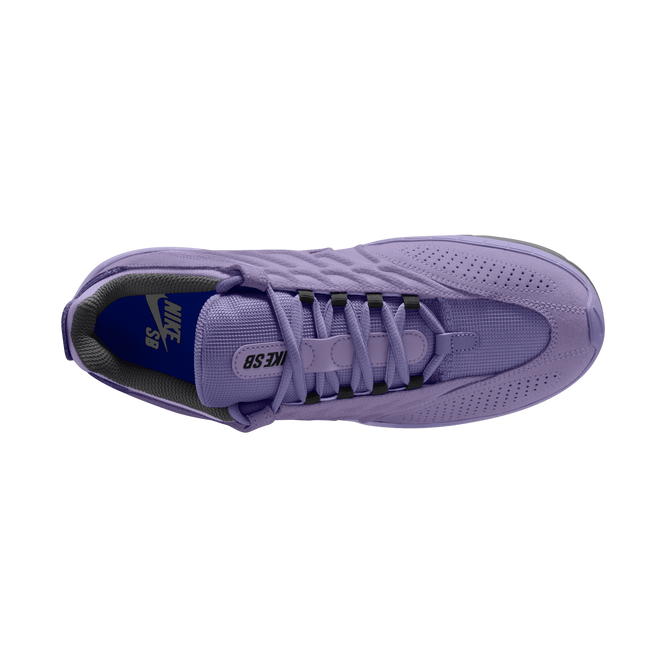  Nike SB Vertebrae