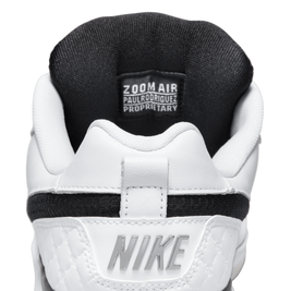 Nike SB Paul Rodriguez Zoom Air Low Qs
