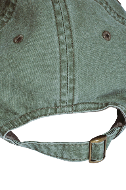 Fucking Awesome Fieldtrip 1998 Embroidered 6 panel hat olive