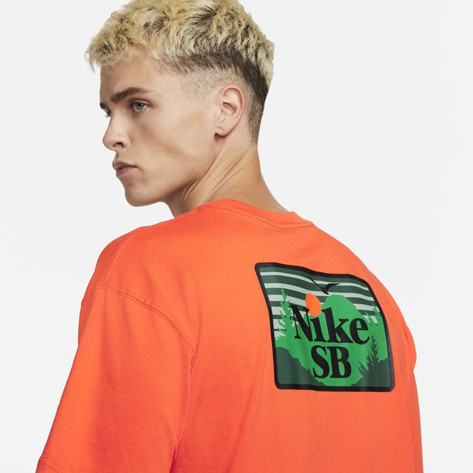Nike Sb Tee Approach