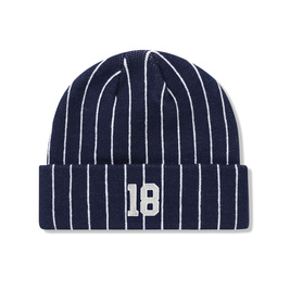 Cash Only Pinstripe Beanie (Navy)