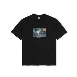 Koszulka Polar Horse Dream tee black