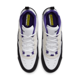 Nike SB Ishod 2