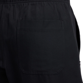 Nike Sb Double-Knee Twill Skate Pants