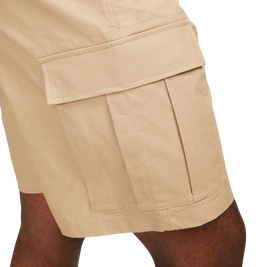 Nike Sb Kearny Cargo Short