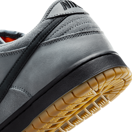 Nike SB Dunk Low Pro ISO