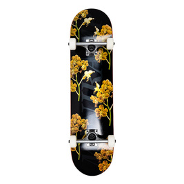 miniramp Flowers Black 8.0"