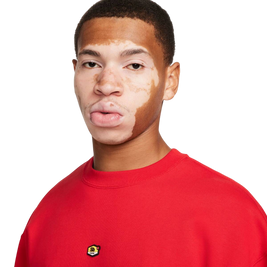 Nike Sb Flc Crw Frntsde Air Gx