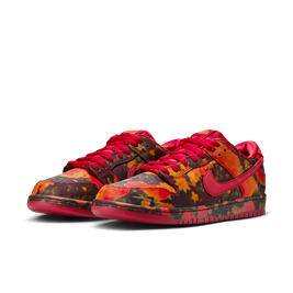 Buty Nike SB Dunk Low The Wizard of Oz Poppy Field