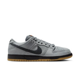 Nike SB Dunk Low Pro ISO