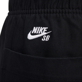 Nike Sb Double-Knee Twill Skate Pants