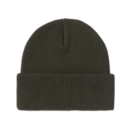 Carhartt WIP Ohio beanie olive