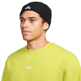 Nike SB Futura Beanie Terra