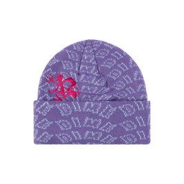 czapka Dime Chopper Fold Beanie (Lavender)