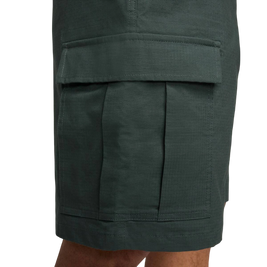Nike Sb Kearny Cargo Short