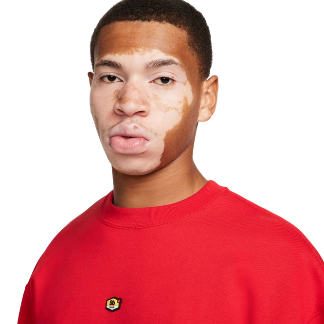 Nike Sb Flc Crw Frntsde Air Gx