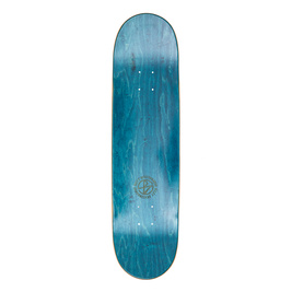 Bizzy Skateboards Team