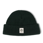 magenta fam beanie green