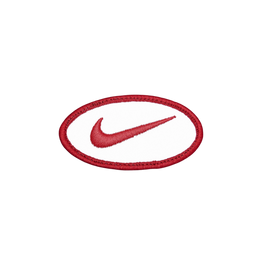 Bluza Nike SB Skate Fleece Pullover Hoodie Truckin