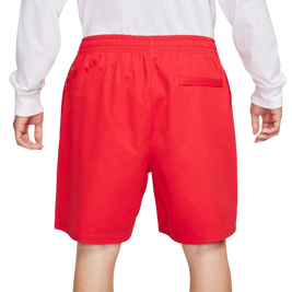 Nike Sb Skyring Skate Shorts