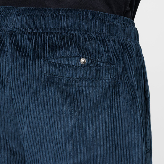 Nke sb Elastic Corduroy Skate Pants