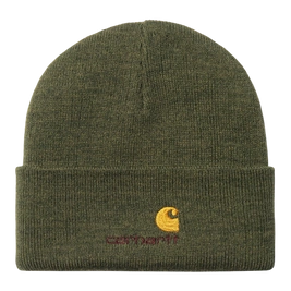 Carhartt WIP American Script Beanie (Plant)