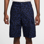 Nike SB Kearny Short