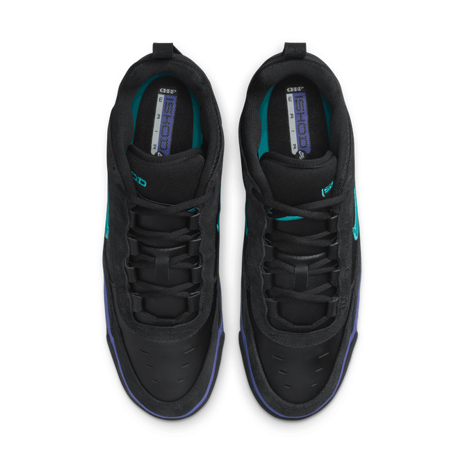 Nike SB Ishod 2