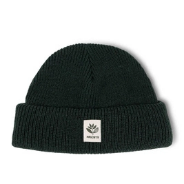 magenta fam beanie green