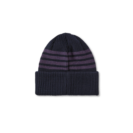 Polar Stripe Merino Beanie (Navy/Purple)