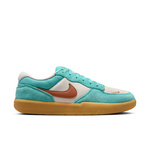 Nike Sb Force 58