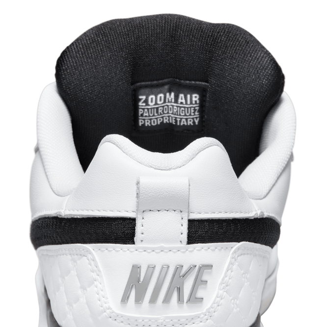 Buty Nike SB Paul Rodriguez Zoom Air Low Qs
