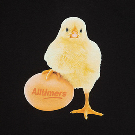 koszulka Alltimers - Cool Chick Tee Black - Black