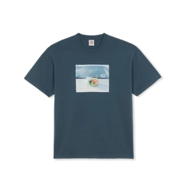 Koszulka Polar Dead Flowers tee grey blue