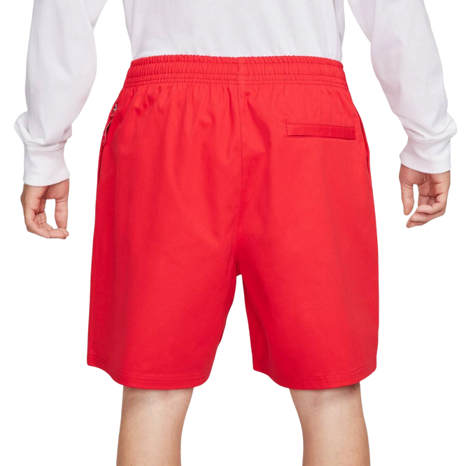 Nike Sb Skyring Skate Shorts