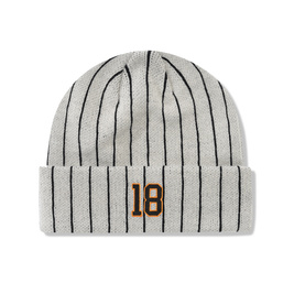 Cash Only Pinstripe Beanie (Grey)