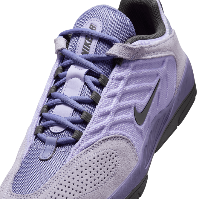  Nike SB Vertebrae