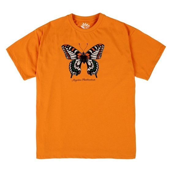koszulka magenta butterfly tee orange