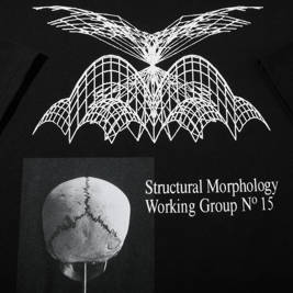koszulka Polar Morphology Tee (Black)